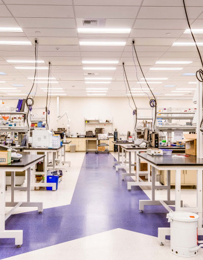 BioLegend Campus - project photo