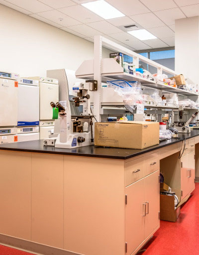 BioLegend Campus - project photo