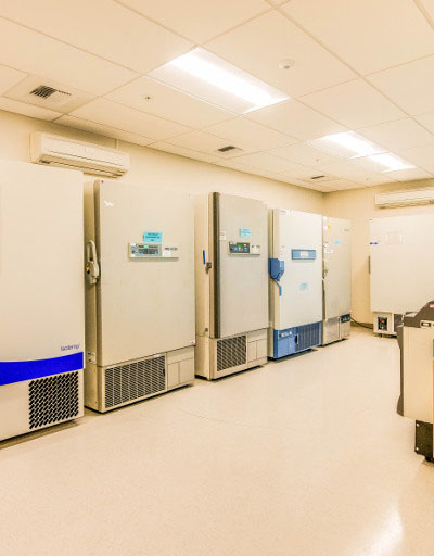 BioLegend Campus - project photo