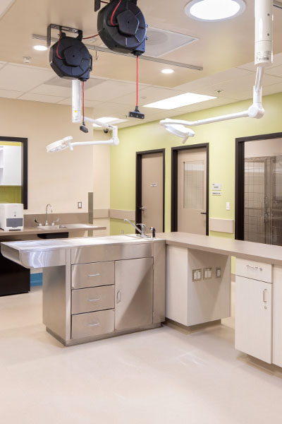 El Cajon Animal Shelter - featured MEP project