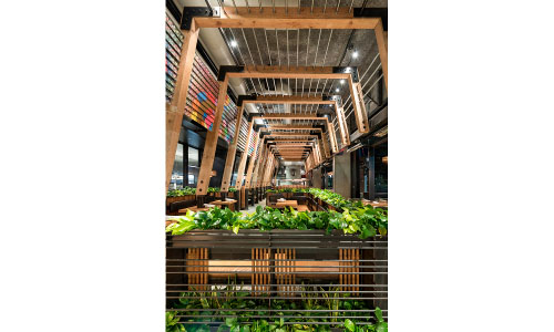 Puesto at Park Place - project photo