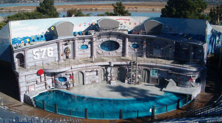 SeaWorld Show - project photo