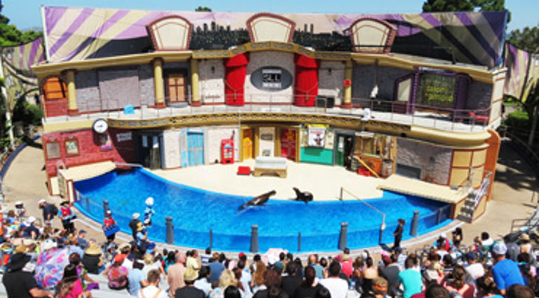 SeaWorld Show - project photo